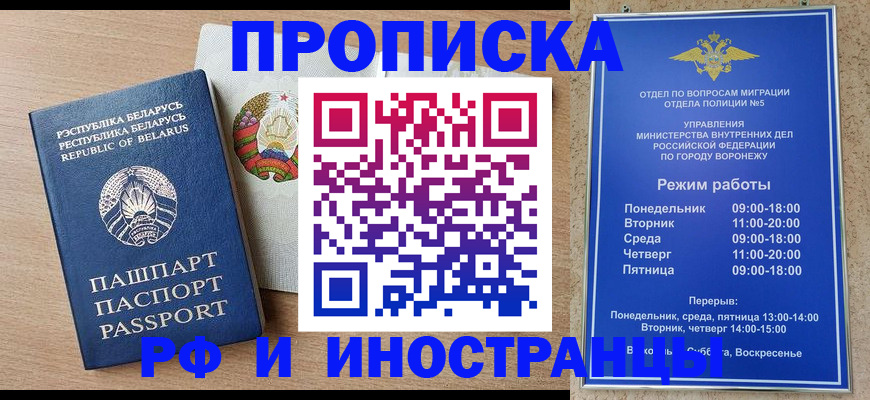 пропишу в квартире в Волоколамске